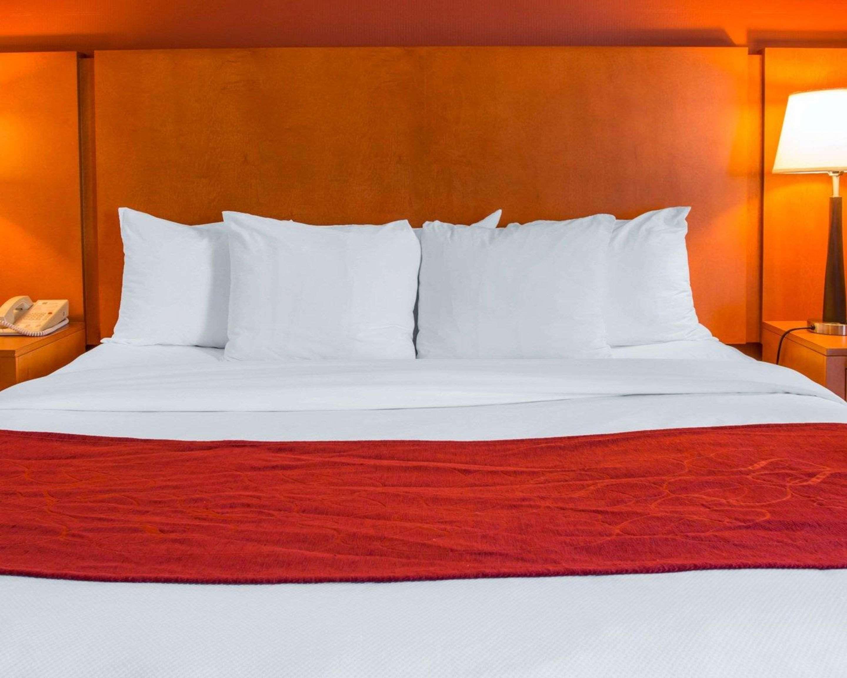 Comfort Suites Auburn Hills-Detroit Ngoại thất bức ảnh