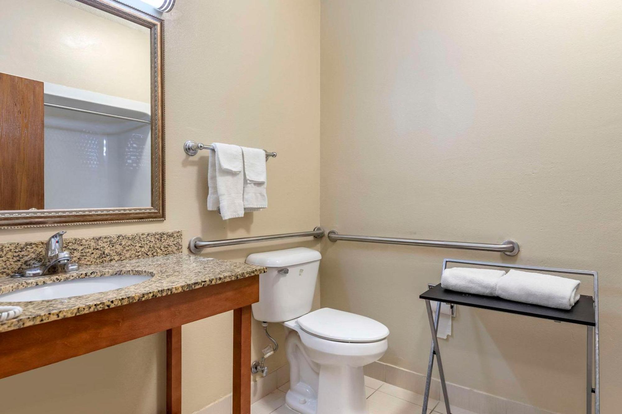 Comfort Suites Auburn Hills-Detroit Ngoại thất bức ảnh